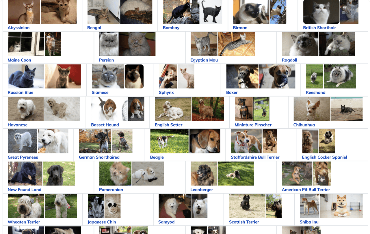 datasets-the-oxford-iiit-pet-dataset