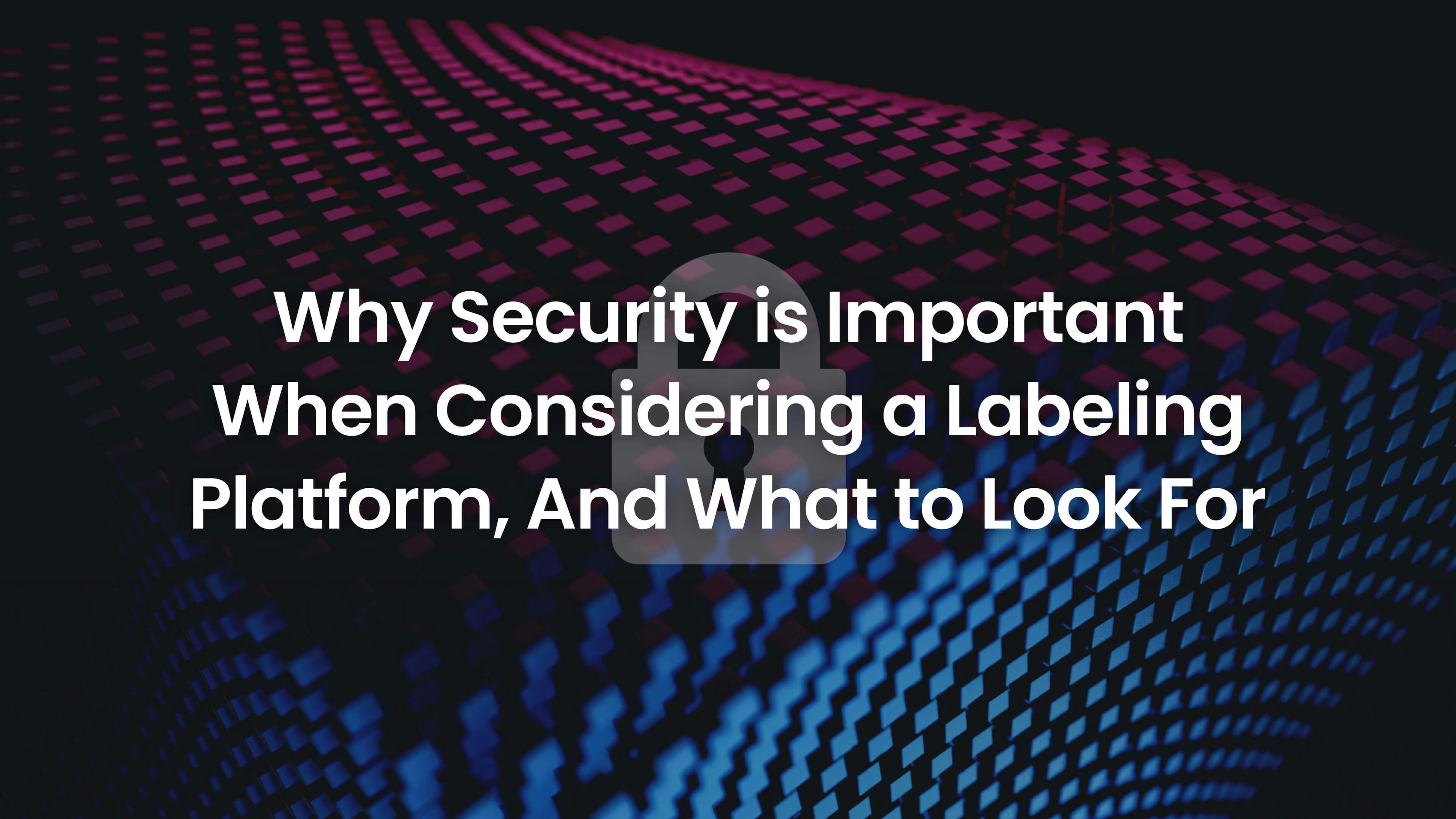 Security considerations for computer vision labeling platform.
